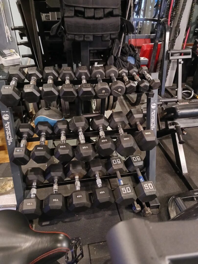 A rack of dumbbells in the gym